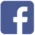fb iconw